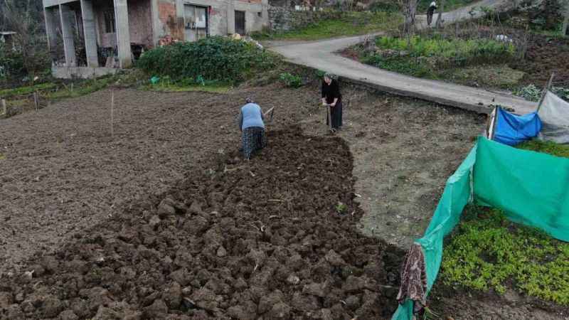 Gençler tarlaya girmiyor Gençler tarlaya girmiyor