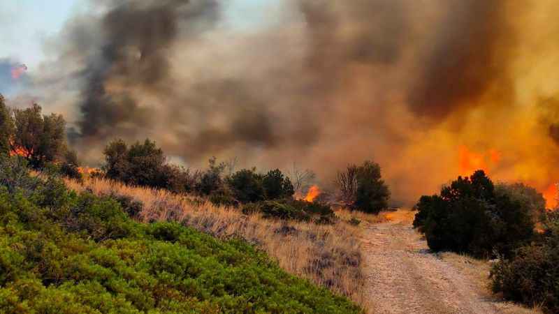 Yunanistan yangınlarla mücadele ediyor: 1 ölü Yunanistan yangınlarla mücadele ediyor: 1 ölü