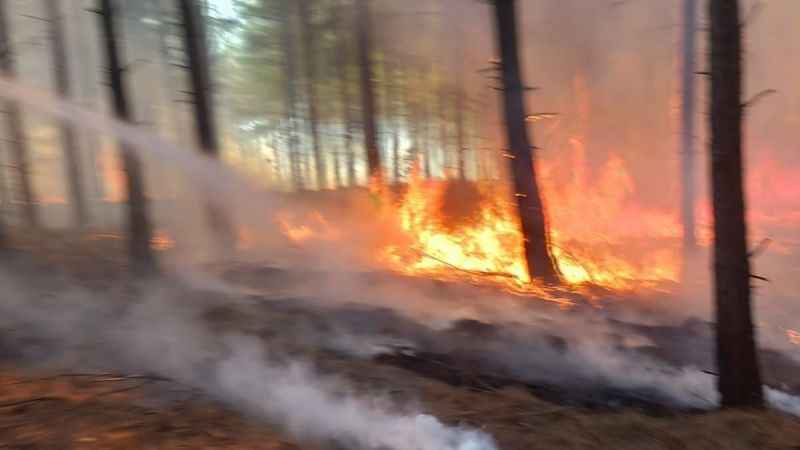 Adana’da orman yangını Adana’da orman yangını