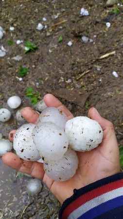 YUMURTA BÜYÜKLÜĞÜNDE DOLU VURDU YUMURTA BÜYÜKLÜĞÜNDE DOLU VURDU