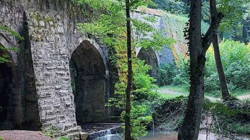 Eyüp Sultan'da yeni yılın ilk doğa yürüyüşüne davetlisiniz! Eyüp Sultan'da yeni yılın ilk doğa yürüyüşüne davetlisiniz!