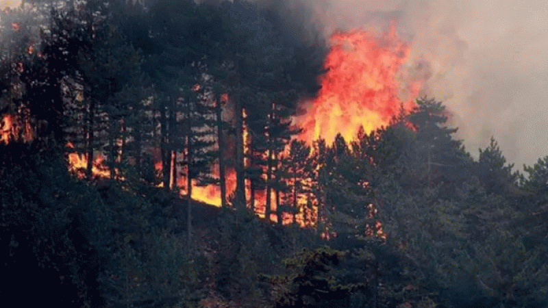 Kilis'teki orman yangınında 20 dönüm arazi kül oldu Kilis'teki orman yangınında 20 dönüm arazi kül oldu