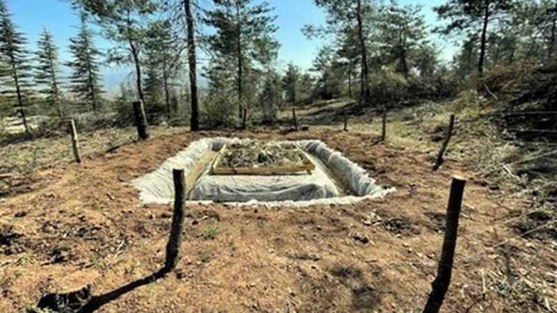 Orman köylüsünün yeni geçim kaynağı 