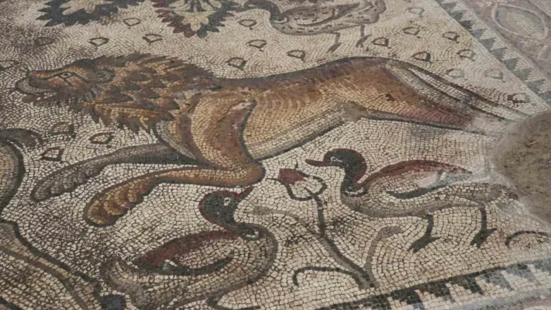 Türkiye’de bir ilk: Tek parça halinde 84 metrekarelik mozaik gün yüzüne çıkarıldı