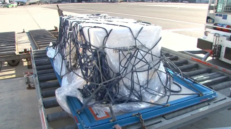 Ahu Tuğba’nın cenazesi ailesine teslim edildi