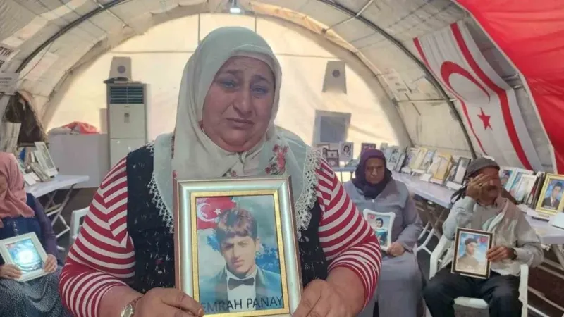 Diyarbakır’da evlat nöbetine 377’nci aile katıldı