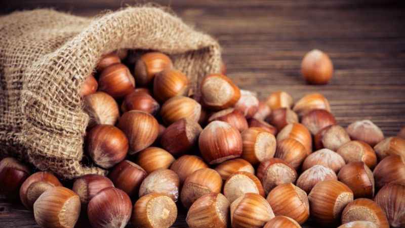 Fındık 125 lirayı görecek