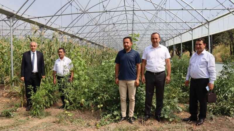 Oltu'da devlet destekli seralar çiftçilerin yüzünü güldürdü