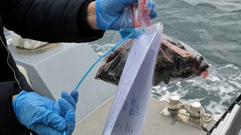 İstanbul’da midye avlanan alanların sayısı arttı