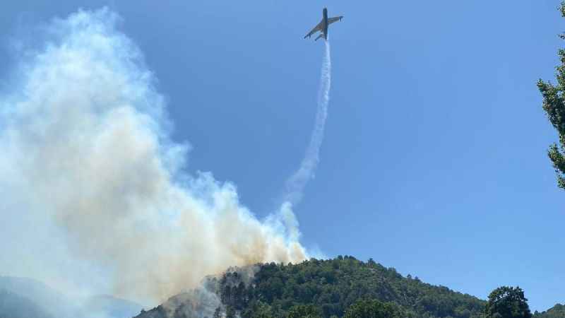 Balıkesir’de orman yangını
