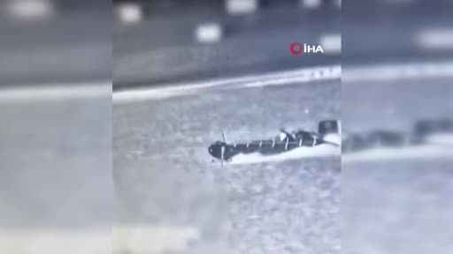 İsrail: "Hamas'ın denizden sızma girişimi engellendi"