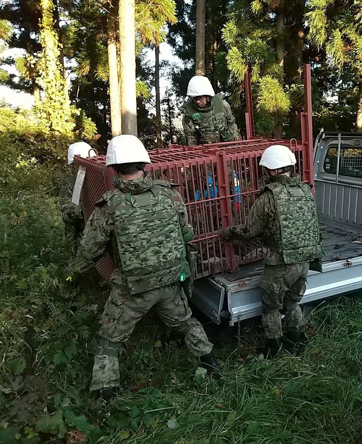 Ayılara karşı silah kullanma yetkisi verildi