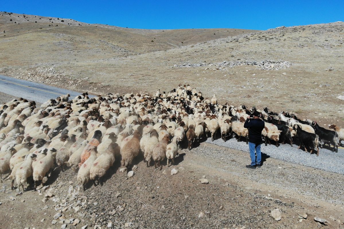 Bu defa çiftçi çoban çatışması: 33 ölü