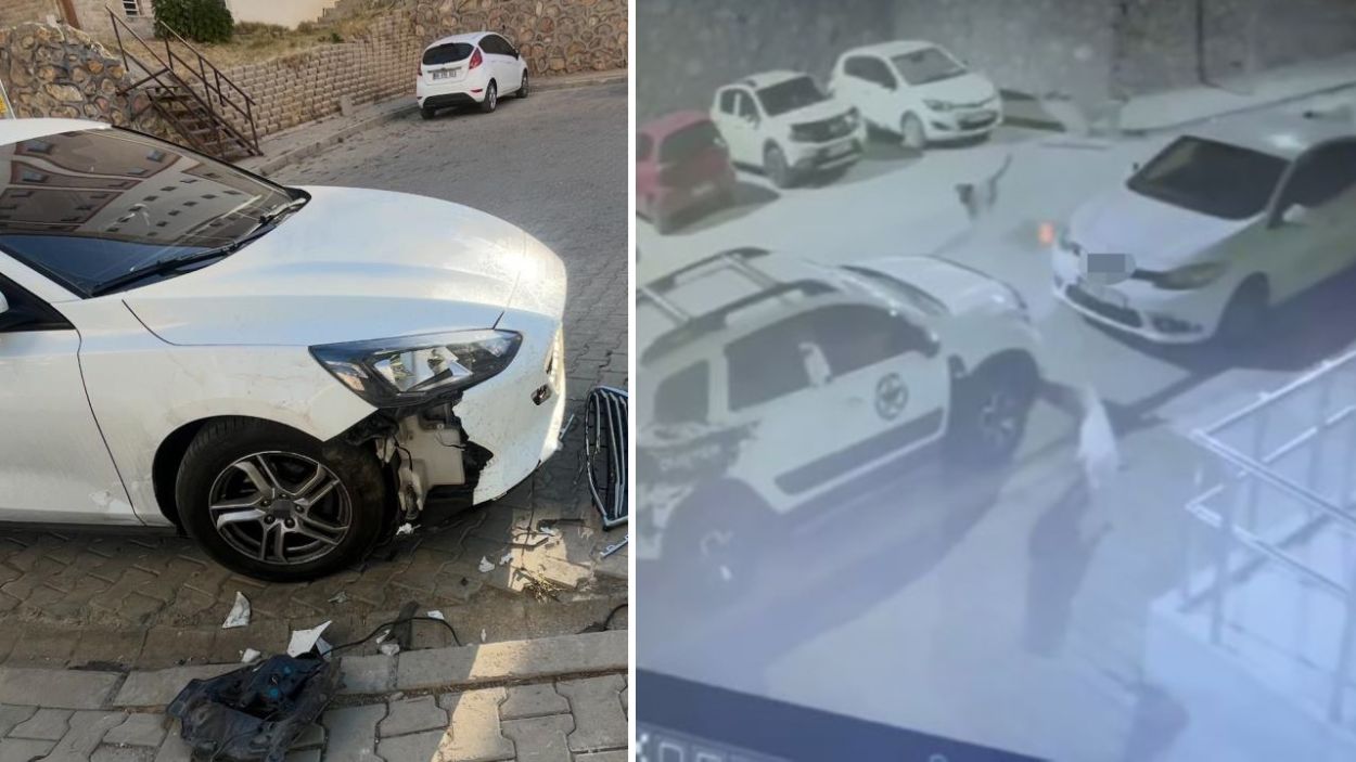 Sokak köpekleri otomobile 108 bin TL'lik hasar verdi