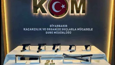 Diyarbakır'da 'örümcek suç örgütü' operasyonu