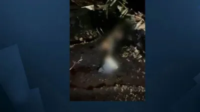 Irak'ta düşen helikopterde PKK'lı teröristler vardı