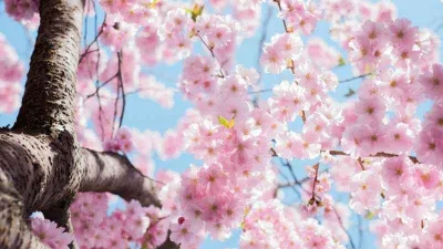 Bahar yorgunluğundan koruyacak 7 öneri