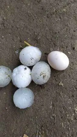YUMURTA BÜYÜKLÜĞÜNDE DOLU VURDU