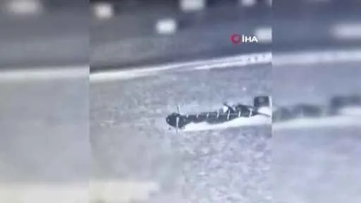 İsrail: "Hamas'ın denizden sızma girişimi engellendi"