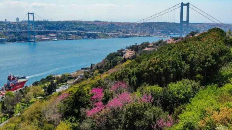 İstilacilar hakkında karar çıktı!