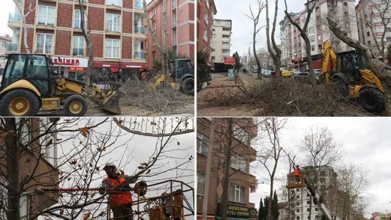 Kartal'da budanan ağaçlar ihtiyaç sahiplerini ısıtıyor