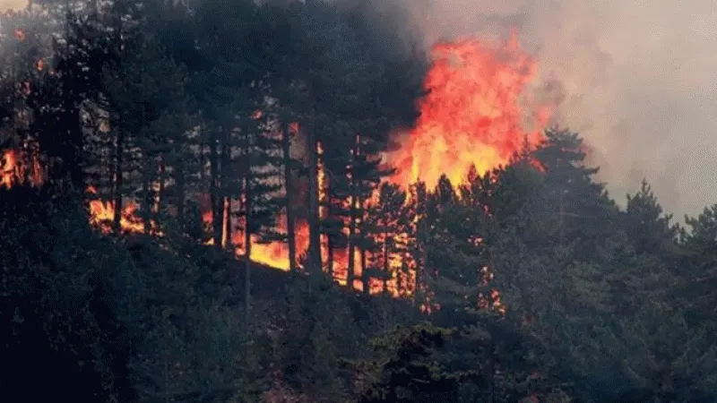 Kilis'teki orman yangınında 20 dönüm arazi kül oldu